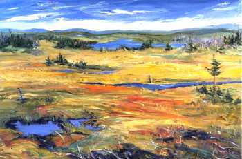 Barrens II, original oil painting by Brenda McClellan 